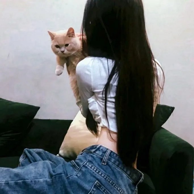 仙王的日常生活